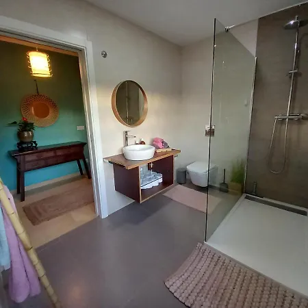 The Space - Portugal * Fungalvaz