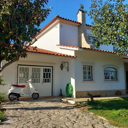 The Space - Portugal Fungalvaz