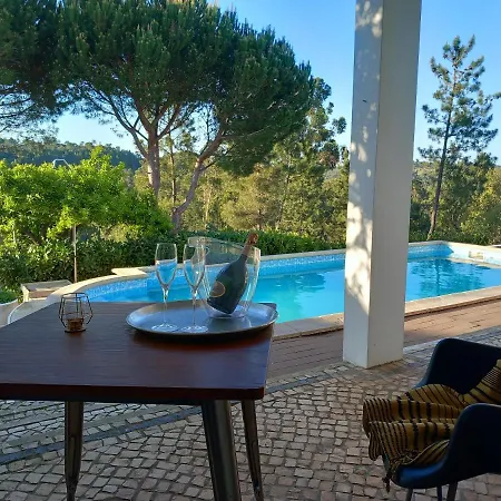 Проживание в семье The Space - Portugal Fungalvaz