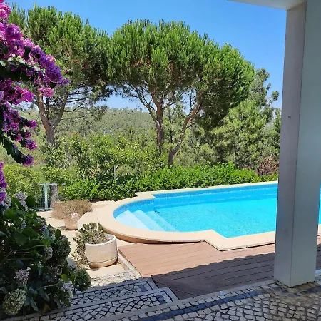 The Space - Portugal Проживание в семье Fungalvaz