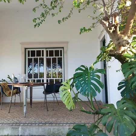 The Space - Portugal Alloggio in famiglia *