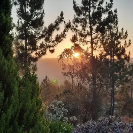 The Space - Portugal Alloggio in famiglia