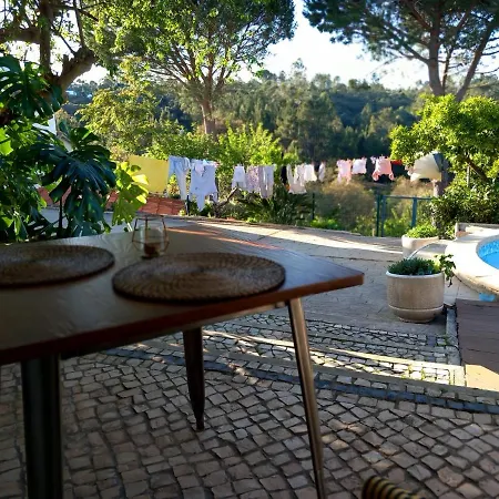 The Space - Portugal Fungalvaz