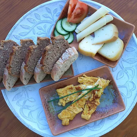 The Space - Portugal * Fungalvaz